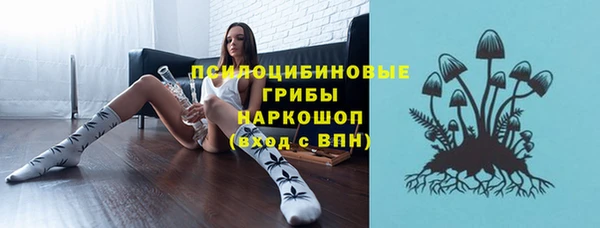 сатива Алексеевка