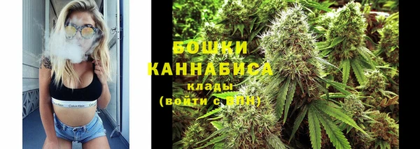 крисы Осташков