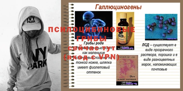герыч Алексин