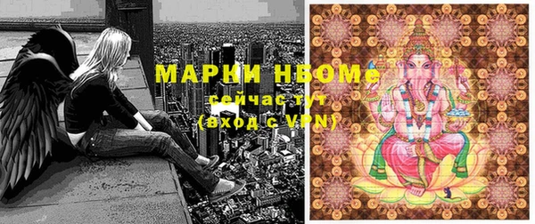 сатива Алексеевка