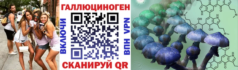 KRAKEN ONION  Навашино  Галлюциногенные грибы Psilocybine cubensis 